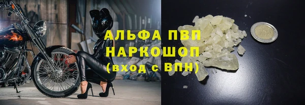 кокс Баксан