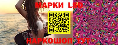 винт Краснодар