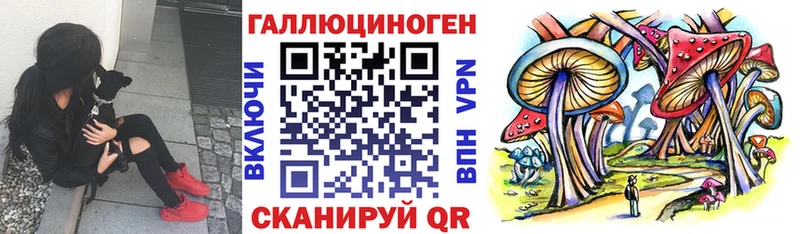 даркнет сайт  Новый Уренгой  Галлюциногенные грибы MAGIC MUSHROOMS 