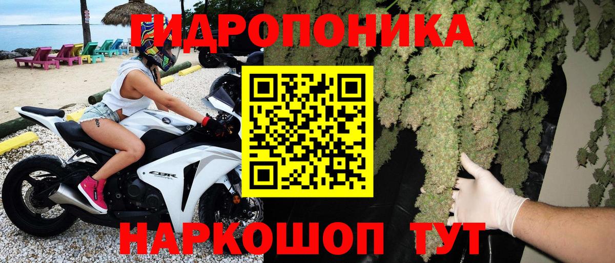 Бошки Шишки планчик Новый Уренгой